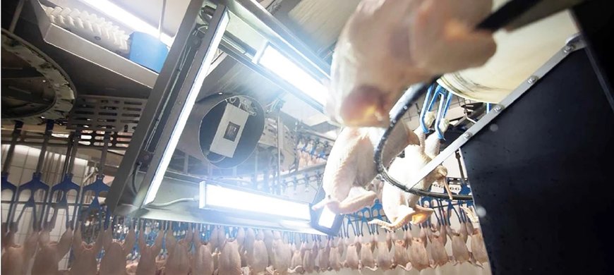 5 questions sur la sélection par vision dans la transformation de la volaille